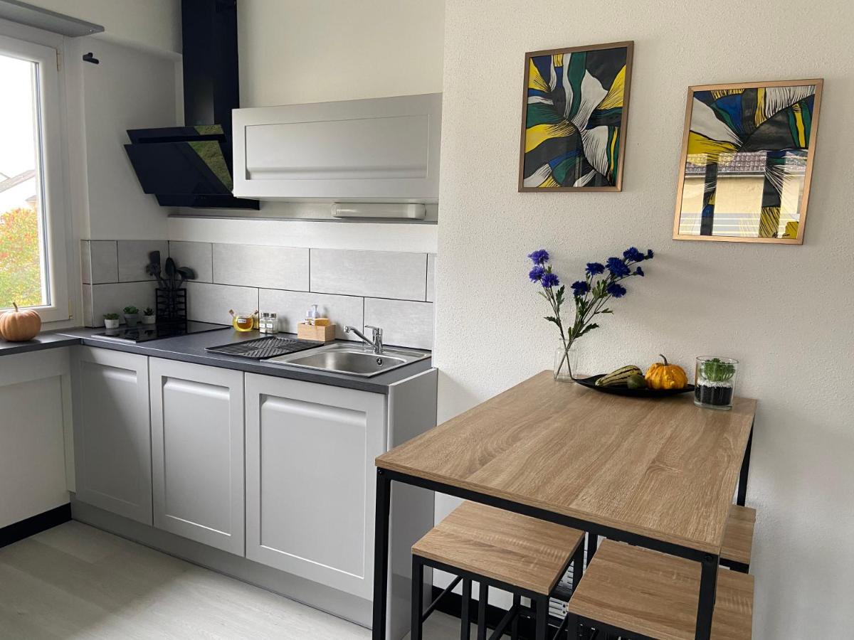 Chez Orely Apartment Horbourg Bagian luar foto